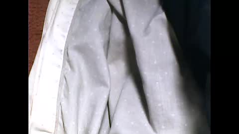 Snapshot of tomas0000 chatting on 01-01-25, 01:37 thomi online show from 01-01-25, 01:37