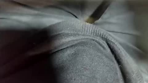 Tomas online show from 02-12-25, 10:37