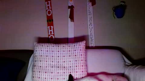 tomas gerauld. make me happy with 10000 tokens online show from 12-30-24, 03:14