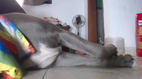   Thomas    online show from 02-04-25, 03:04