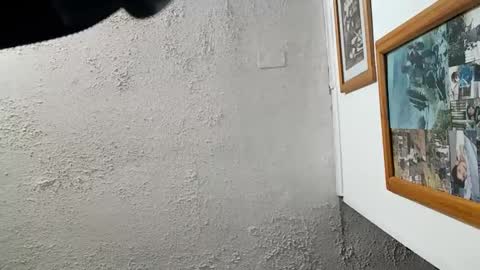 Tommy online show from 11-23-25, 08:14