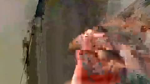 Snapshot of tony_1019 chatting on 01-24-25, 10:21 Tony 1019 online show from 01-24-25, 10:21