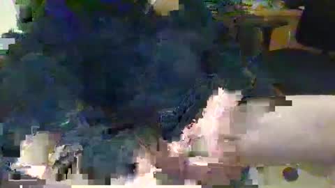 Snapshot of topcat127 chatting on 03-05-25, 06:23 Topcat127 online show from 03-05-25, 06:23