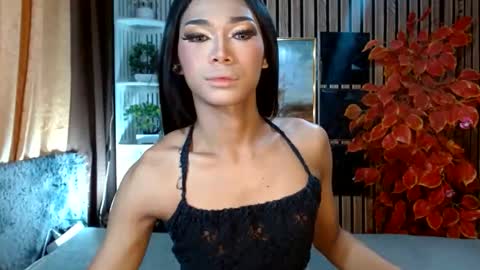 toptrans venice online show from 02-22-26, 03:07