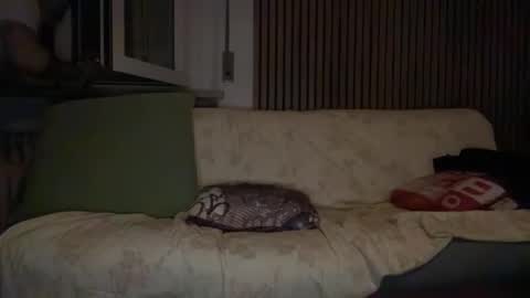 torofermo705033 online show from 01-10-26, 02:35