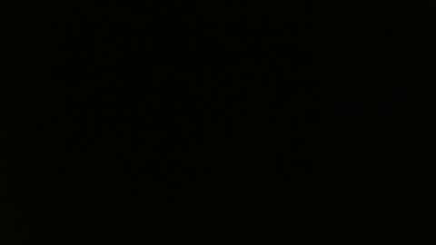 totoro_239 online show from 03-24-26, 08:36