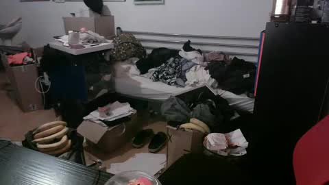 Totox online show from 12-29-24, 07:43