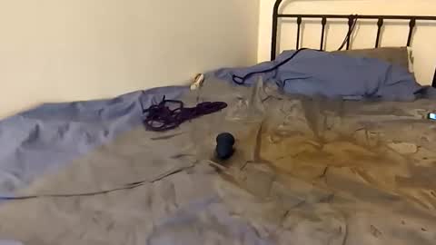 toxic2lust online show from 03-04-26, 06:58