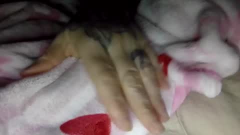 Snapshot of toxicanikki chatting on 01-08-26, 08:05 toxicanikki online show from 01-08-26, 08:05