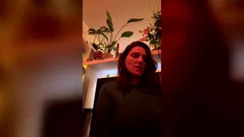 GoToyShop online show from 02-19-26, 10:06