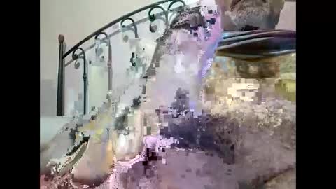 Snapshot of tra649167 chatting on 12-23-24, 09:40 tra649167 online show from 12-23-24, 09:40