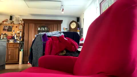 trebgeis1 online show from 02-18-25, 11:44