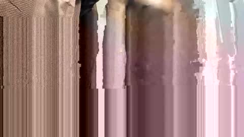 WapBopper online show from 02-02-25, 01:55