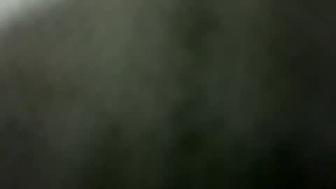 tripit1 online show from 12-21-25, 08:43