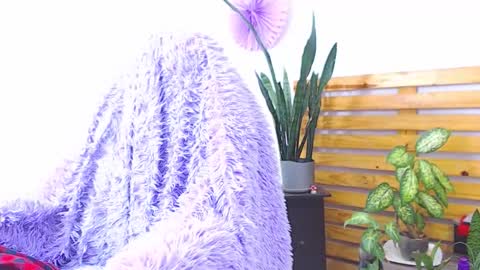 Snapshot of trix_fiore_oficial chatting on 02-01-26, 06:34 Trix online show from 02-01-26, 06:34