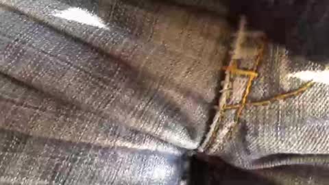 Snapshot of trobelle chatting on 11-18-25, 11:36 trobelle online show from 11-18-25, 11:36