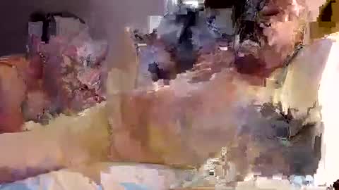 Snapshot of trojanswingers chatting on 02-11-25, 05:29 trojanswingers online show from 02-11-25, 05:29