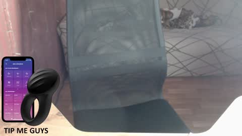 Snapshot of trone41 chatting on 12-18-24, 02:53 I POST MY FUCKING VIDEOS AND PICS online show from 12-18-24, 02:53