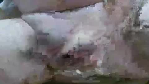 troy1965 online show from 02-11-26, 06:07