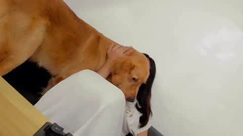 Snapshot of ts_danielahugecock_xxx chatting on 12-31-24, 12:43 ts_danielahugecock_xxx online show from 12-31-24, 12:43