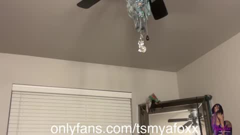 tsfoxx online show from 12-11-24, 12:34