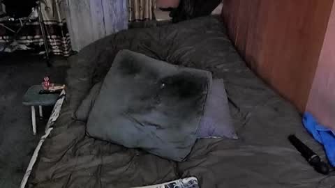 Snapshot of tviks chatting on 03-06-25, 10:30 Lana online show from 03-06-25, 10:30