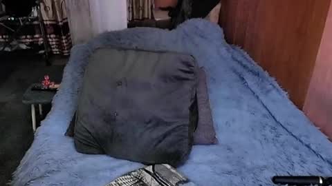 Snapshot of tviks chatting on 03-09-25, 08:29 Lana online show from 03-09-25, 08:29