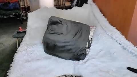 Snapshot of tviks chatting on 03-11-25, 01:37 Lana online show from 03-11-25, 01:37