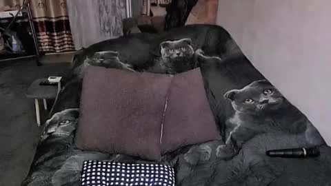 Snapshot of tviks chatting on 10-23-25, 11:35 Lana online show from 10-23-25, 11:35