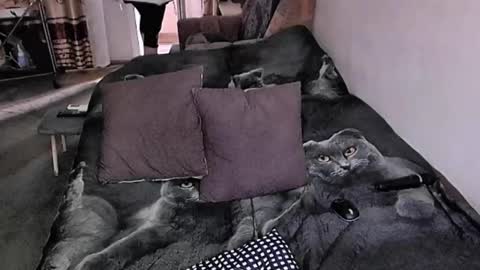 Snapshot of tviks chatting on 11-17-25, 07:36 Lana online show from 11-17-25, 07:36