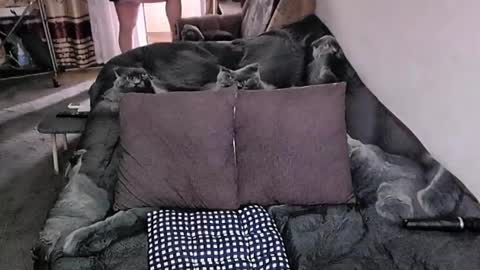 Snapshot of tviks chatting on 11-20-25, 04:12 Lana online show from 11-20-25, 04:12