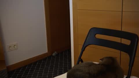 twinksweetlovehot online show from 12-05-24, 05:06