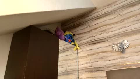 twinslovers_ online show from 01-06-26, 03:32