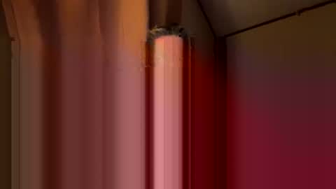 twosmallholes42 online show from 03-01-26, 04:03