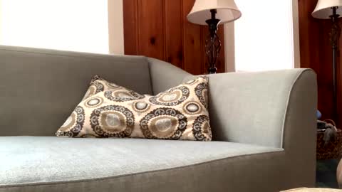 Tyler Sands online show from 02-11-25, 02:46