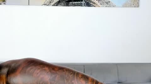 Dvid Rullers online show from 11-07-25, 12:32