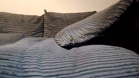 tyson2512 online show from 02-19-26, 03:19