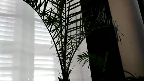 Snapshot of uncutlover1000 chatting on 10-02-25, 07:04 patricia online show from 10-02-25, 07:04