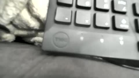 BamBam online show from 01-16-26, 03:10