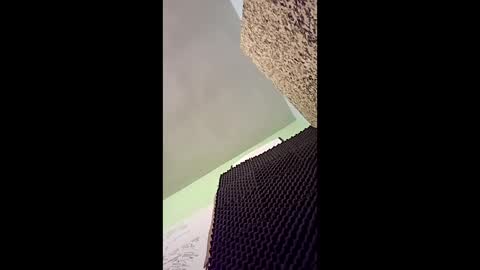 v3403454 online show from 12-16-25, 11:54