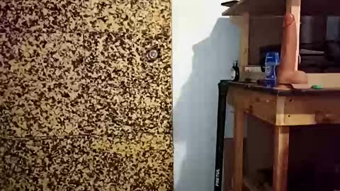 v3403454 online show from 12-21-25, 01:57