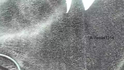 Vaiolet1314 online show from 01-26-25, 03:58