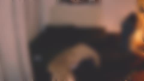 Little Devil online show from 12-07-24, 03:08