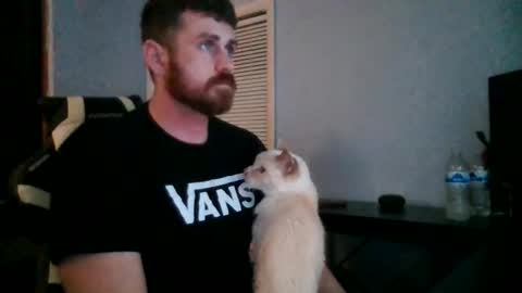 Vandal2021 online show from 11-20-25, 12:11