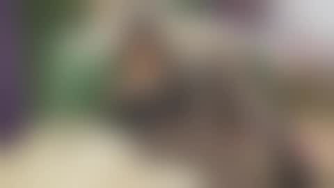 Vanessa online show from 09-25-25, 06:06