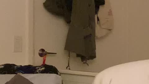 Vanessa  online show from 12-24-24, 10:33