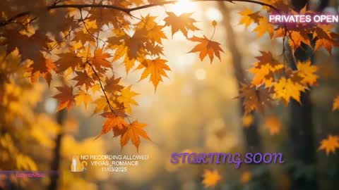 vegas_romance online show from 11-03-25, 11:59