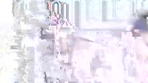 velvet online show from 01-10-25, 08:04