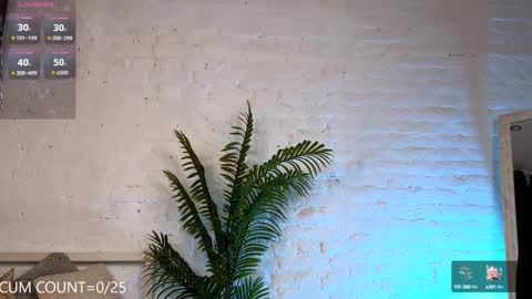 CLEOshort hair  TIna long hair  online show from 02-04-25, 05:45