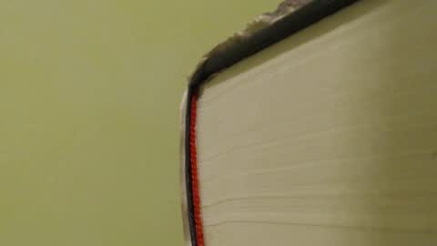 Snapshot of vendi1 chatting on 01-14-25, 08:26 vendi1 online show from 01-14-25, 08:26